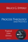 Process Theology and Politics - Book