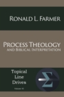 Process Theology and Biblical Interpretation - Book