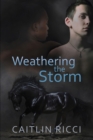 Weathering the Storm Volume 1 - Book