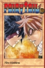 Fairy Tail 59 - Book