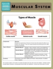 Muscular System (Speedy Study Guide) - Book