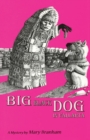 Big Black Dog in Vallarta - Book