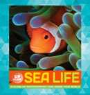 Sea Life : A Close-Up Photographic Look Inside Your World - Book