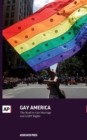 Gay America : The Road to Gay Marriage and LGBT Rights - Book