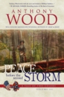 Peace Before the Second Storm : A Story of the Civil War - Book