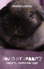 How Is My Rabbit? : Educate, Pamper and Enjoy - Book