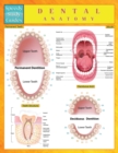 Dental Anatomy (Speedy Study Guides) - Book
