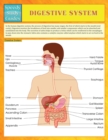 Digestive System (Speedy Study Guides) - Book