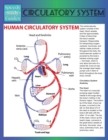 Circulatory System (Speedy Study Guide) - Book