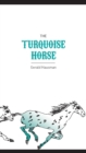 The Turquoise Horse - Book
