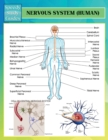 Nervous System (Human) (Speedy Study Guides) - Book