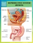 Reproductive System (Human) (Speedy Study Guides) - Book