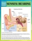 Senses : Hearing (Speedy Study Guides) - Book