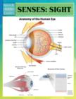 Senses : Sight (Speedy Study Guides) - Book