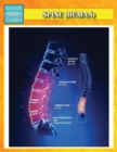 Spine (Human) (Speedy Study Guides) - Book