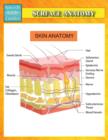 Surface Anatomy (Speedy Study Guides) - Book