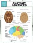 Anatomy Advanced - Book