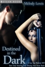 Destined in the Dark - Historical Cross-Dressing Medieval M/M Erotica from Steam Books - eBook