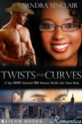 Twists and Curves - A Sexy BWWM Interracial BBW Romance Novella from Steam Books - eBook