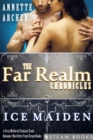 Ice Maiden - A Sexy Medieval Fantasy Erotic Romance Novelette From Steam Books - eBook