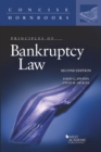 Principles of Bankruptcy Law - Book