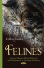 Felines : Common Diseases, Clinical Outcomes and Developments in Veterinary Healthcare - eBook