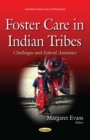 Foster Care in Indian Tribes : Challenges and Federal Assistance - eBook