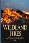 Wildland Fires : A Worldwide Reality - eBook