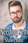 Needing Seth - eBook