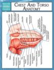 Chest And Torso Anatomy (Speedy Study Guide) - Book