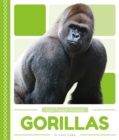 Rain Forest Animals: Gorillas - Book