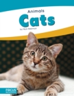Animals: Cats - Book