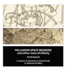 Palladian Space-Neurons and other Roots of Infinity - Book