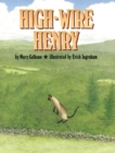 High-Wire Henry - Book