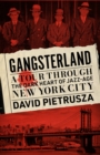 Gangsterland : A Tour Through the Dark Heart of Jazz-Age New York City - Book