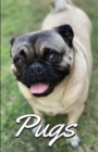 Pugs Photo Book for Writing and Note Taking : Writing Pad with Pug Pictures, Dog Lover Gifts - Book