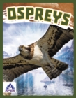 Birds of Prey: Ospreys - Book
