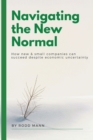 Navigating the New Normal : How New & Small Companies Can Succeed Despite Economic Uncertainty - Book