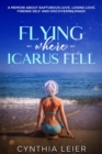 Flying Where Icarus Fell - eBook