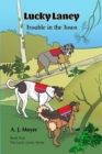Trouble in the Town - eBook