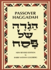 Passover Haggadah Transliterated Large Type : A New English Translation and Instructions for the Seder - Book