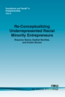 Re-Conceptualizing Underrepresented Racial Minority Entrepreneurs - Book