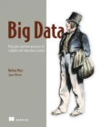 Big Data : Principles and best practices of scalable realtime data systems - eBook