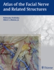 Atlas of the Facial Nerve and Related Structures - eBook