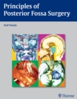 Principles of Posterior Fossa Surgery - eBook