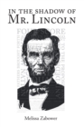In The Shadow Of Mr. Lincoln - eBook