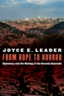 From Hope to Horror : Diplomacy and the Making of the Rwanda Genocide - eBook