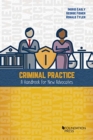 Criminal Practice : A Handbook for New Advocates - Book