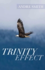 Trinity Effect - Book