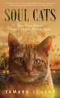 Soul Cats : How Our Feline Friends Teach Us to Live from the Heart - Book